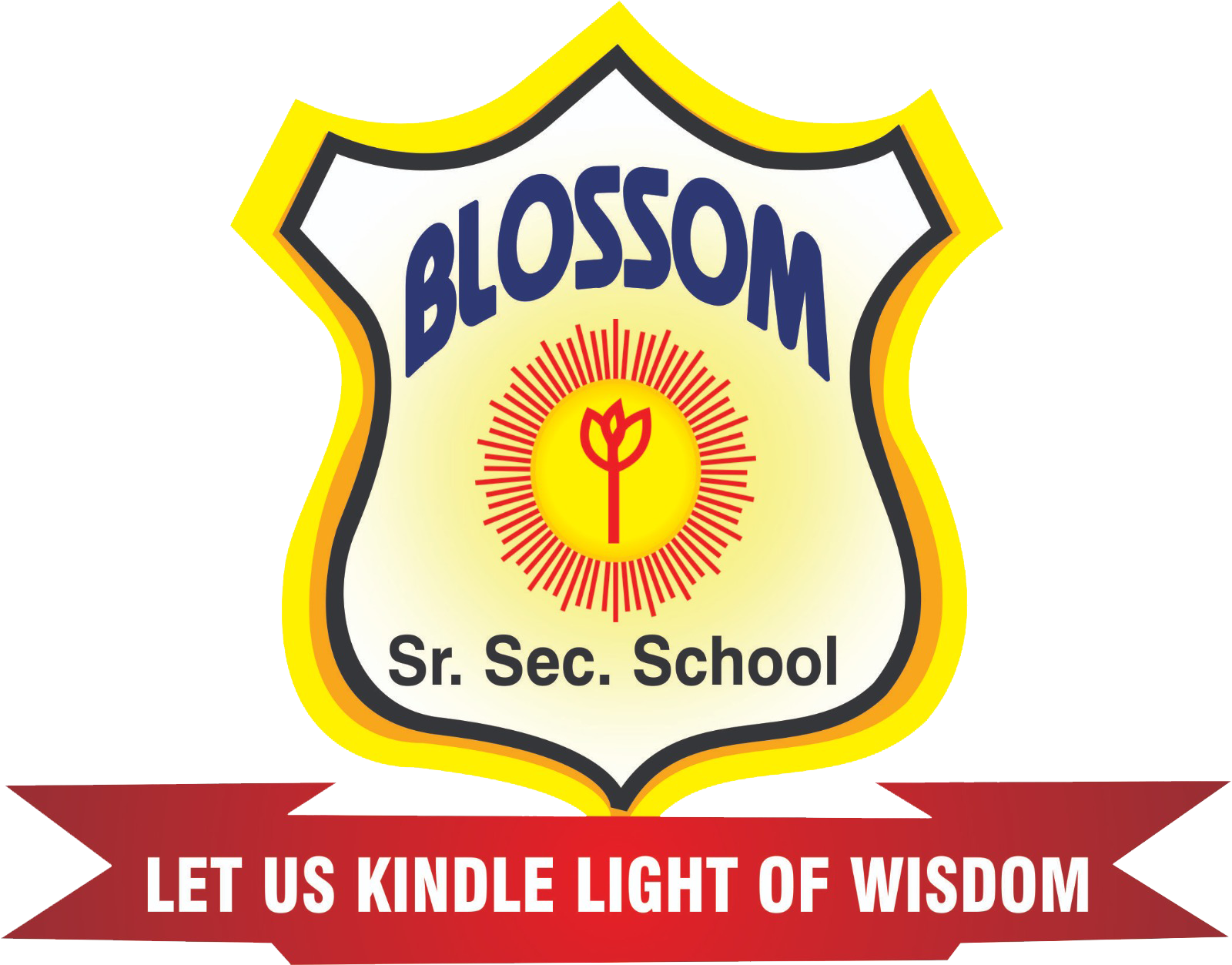 Blossom Senior Secondary Public School